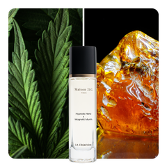 Nước hoa Hypnotic Herb x Magnetic Myrrh