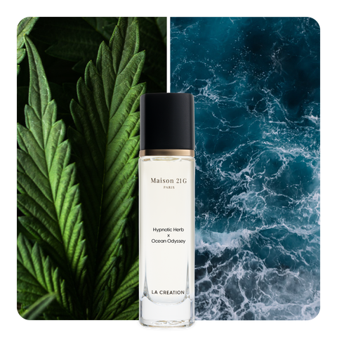 Nước hoa Hypnotic Herb x Ocean Odyssey