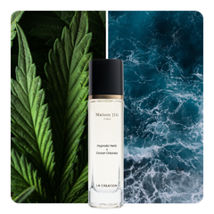 Nước hoa Hypnotic Herb x Ocean Odyssey