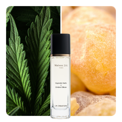 Nước hoa Hypnotic Herb x Ombre Oliban