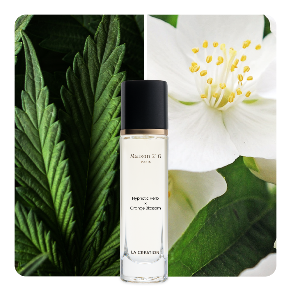 Nước hoa Hypnotic Herb x Orange Blossom