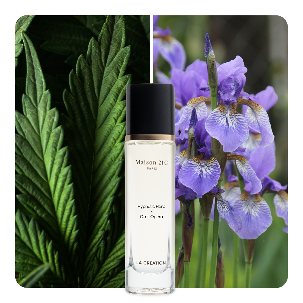 Nước hoa Hypnotic Herb x Orris Opera