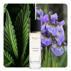 Nước hoa Hypnotic Herb x Orris Opera