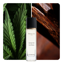 Nước hoa Hypnotic Herb x Oud Outshine
