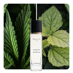Nước hoa Hypnotic Herb x Patchouli Power
