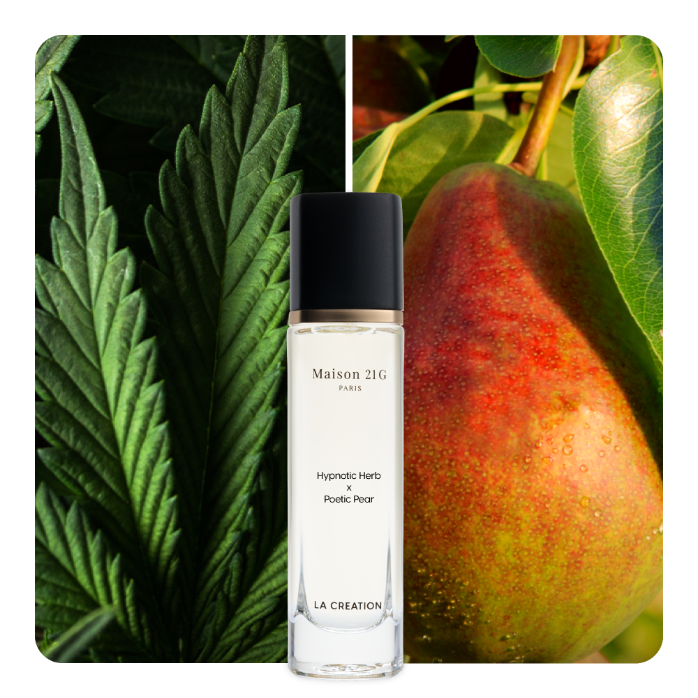 Nước hoa Hypnotic Herb x Poetic Pear