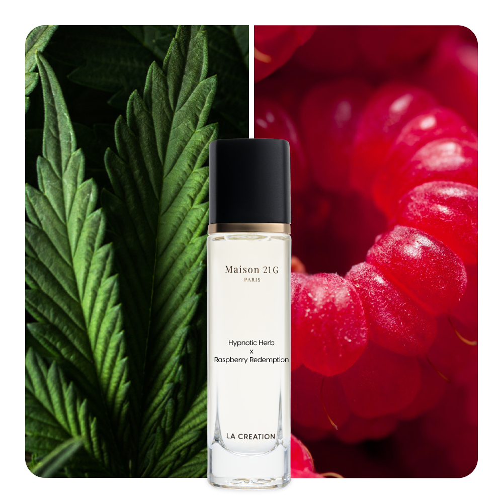 Nước hoa Hypnotic Herb x Raspberry Redemption