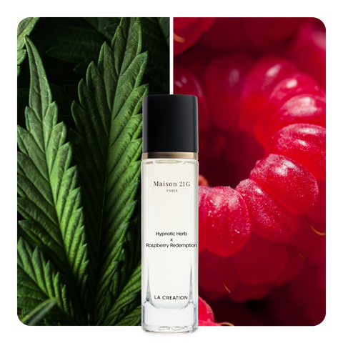 Nước hoa Hypnotic Herb x Raspberry Redemption