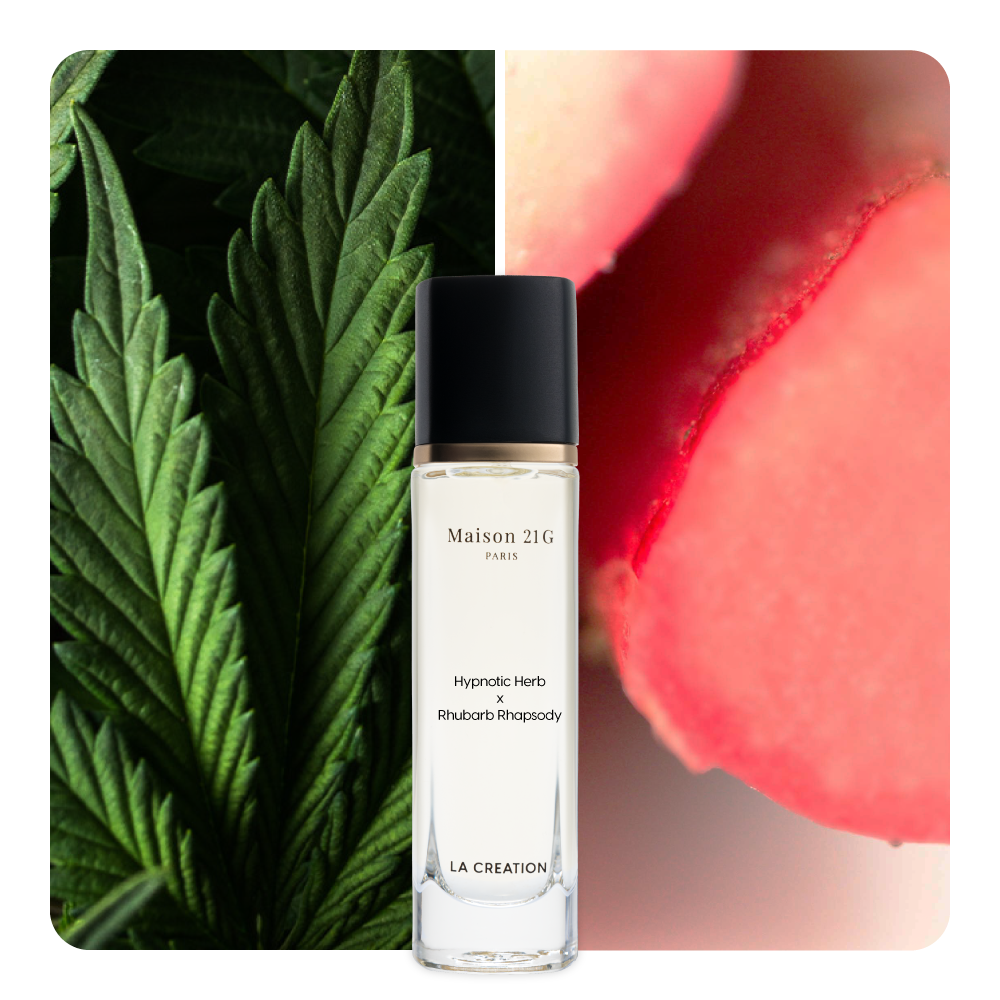 Nước hoa Hypnotic Herb x Rhubarb Rhapsody