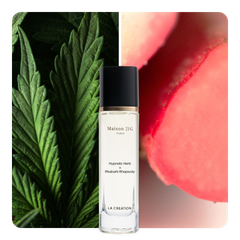 Nước hoa Hypnotic Herb x Rhubarb Rhapsody