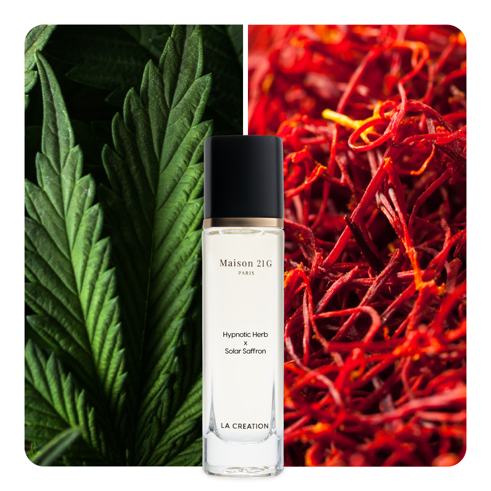Nước hoa Hypnotic Herb x Solar Saffron