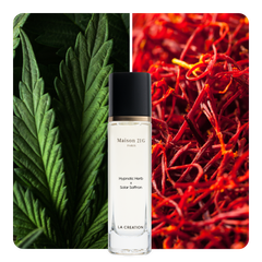 Nước hoa Hypnotic Herb x Solar Saffron