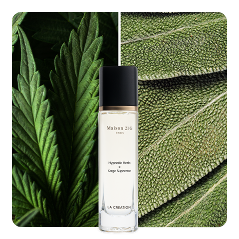Nước hoa Hypnotic Herb x Sage Supreme
