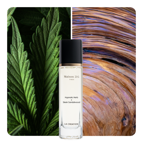 Nước hoa Hypnotic Herb x Sleek Sandalwood