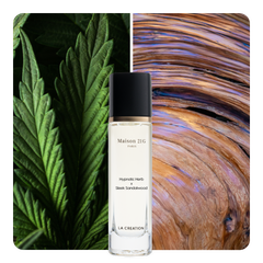 Nước hoa Hypnotic Herb x Sleek Sandalwood