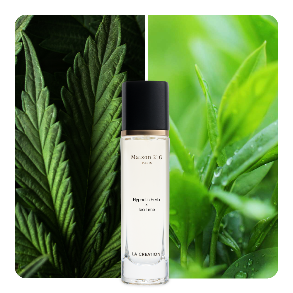 Nước hoa Hypnotic Herb x Tea Time