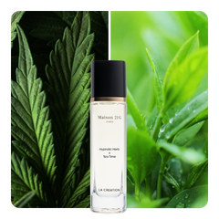Nước hoa Hypnotic Herb x Tea Time