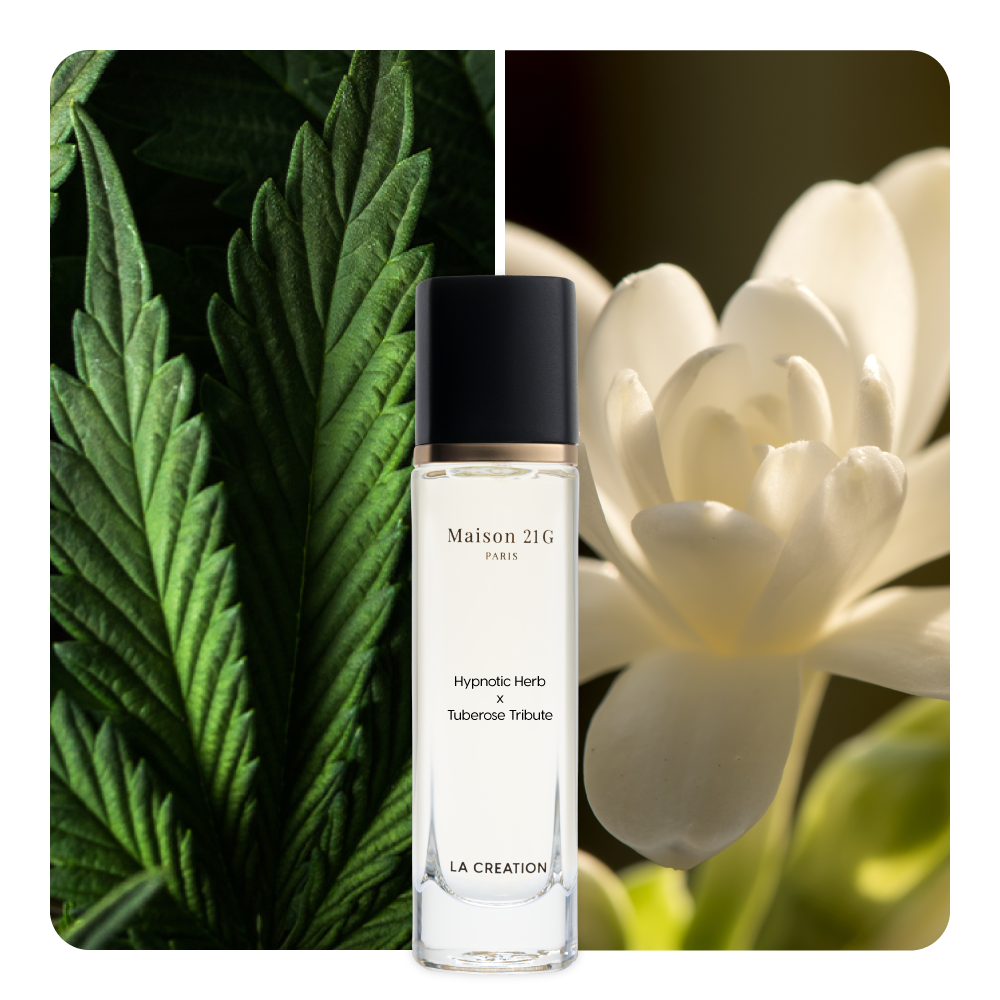 Nước hoa Hypnotic Herb x Tuberose Tribute