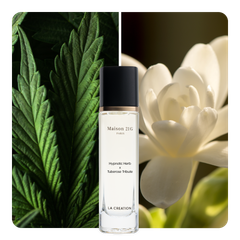 Nước hoa Hypnotic Herb x Tuberose Tribute