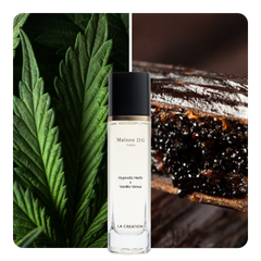 Nước hoa Hypnotic Herb x Vanilla Venus