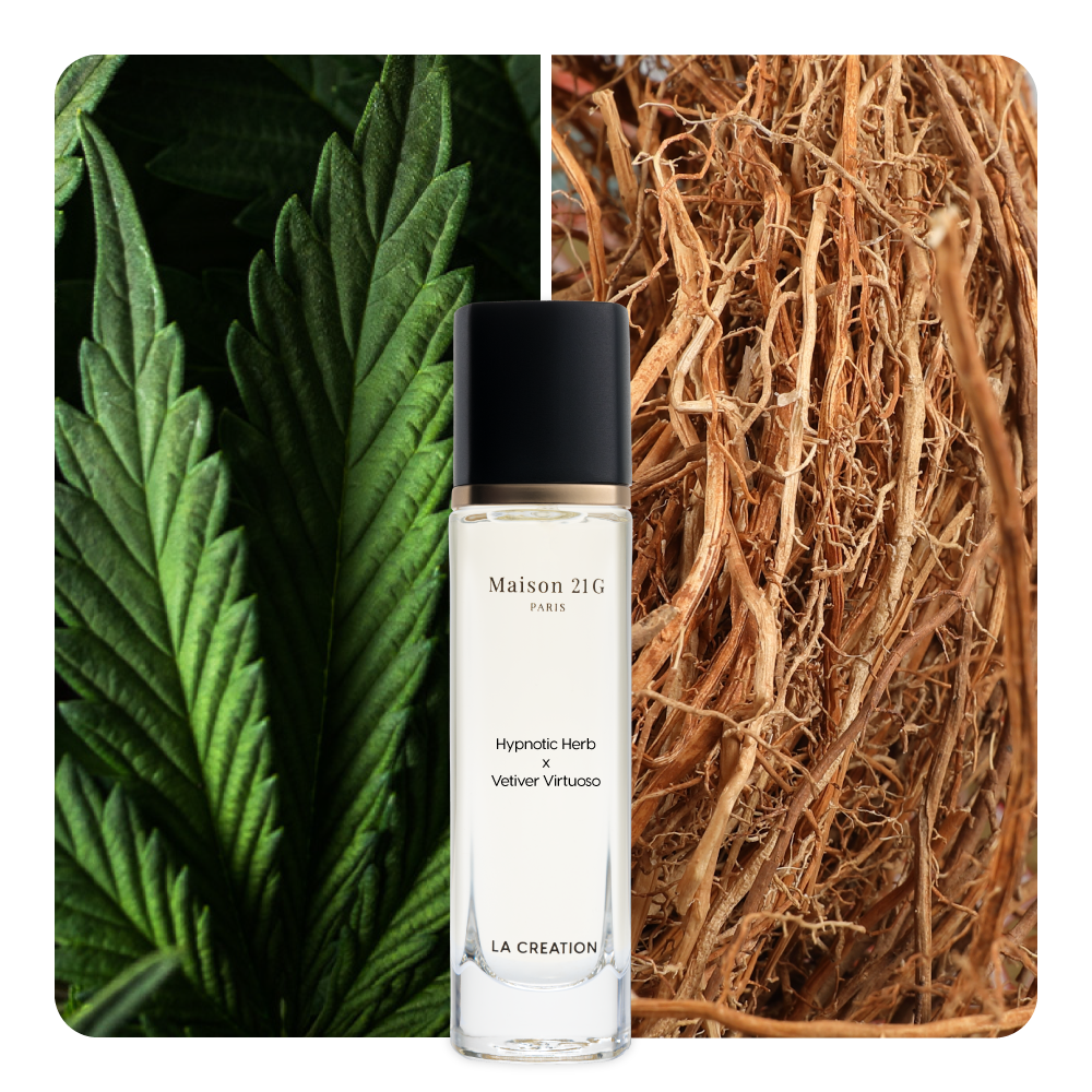 Nước hoa Hypnotic Herb x Vetiver Virtuoso