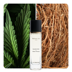 Nước hoa Hypnotic Herb x Vetiver Virtuoso