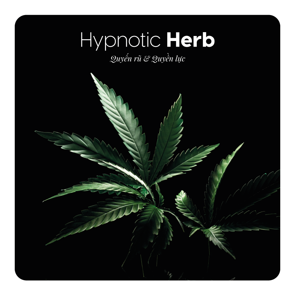 Nước hoa Hypnotic Herb