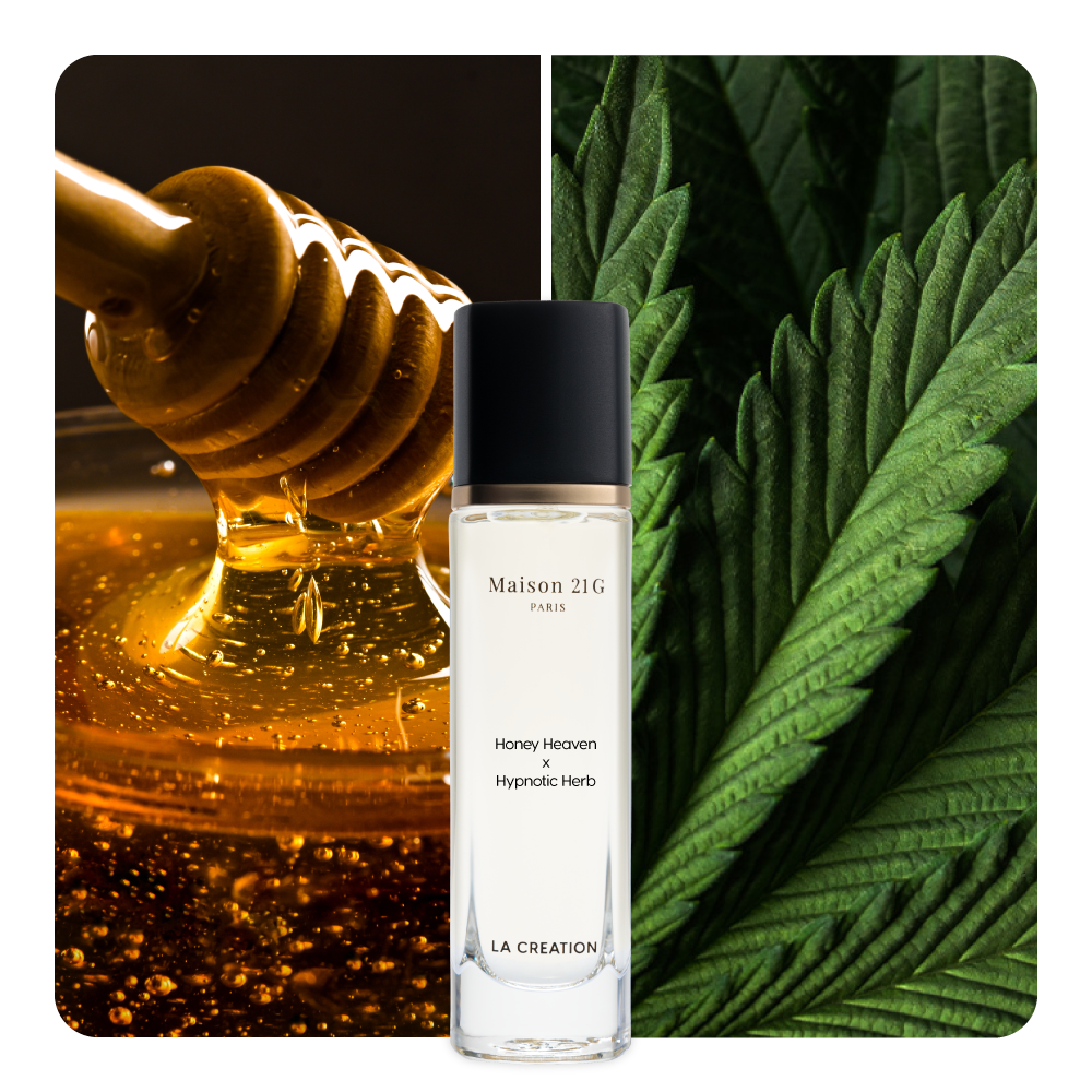 Nước hoa Honey Heaven x Hypnotic Herb