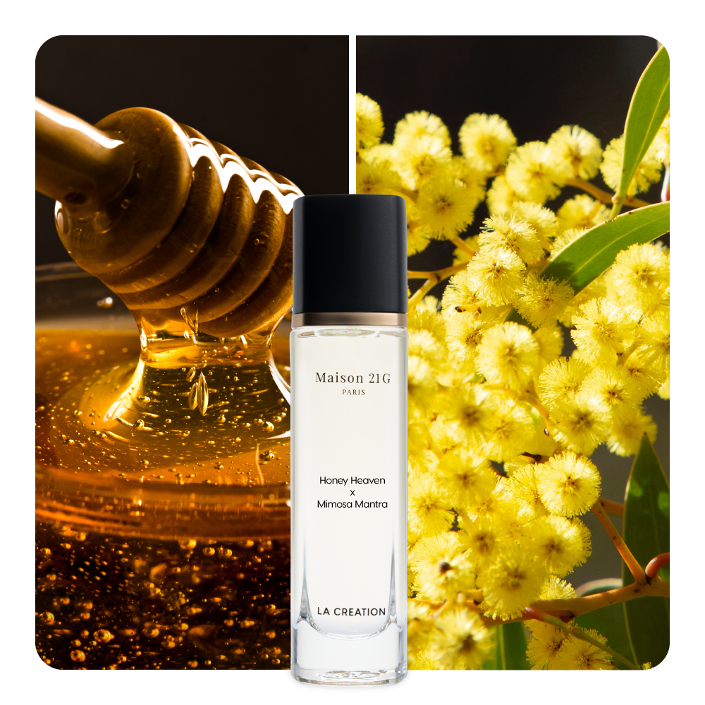 Nước hoa Honey Heaven x Mimosa Mantra
