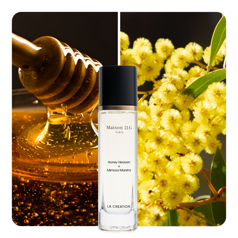 Nước hoa Honey Heaven x Mimosa Mantra