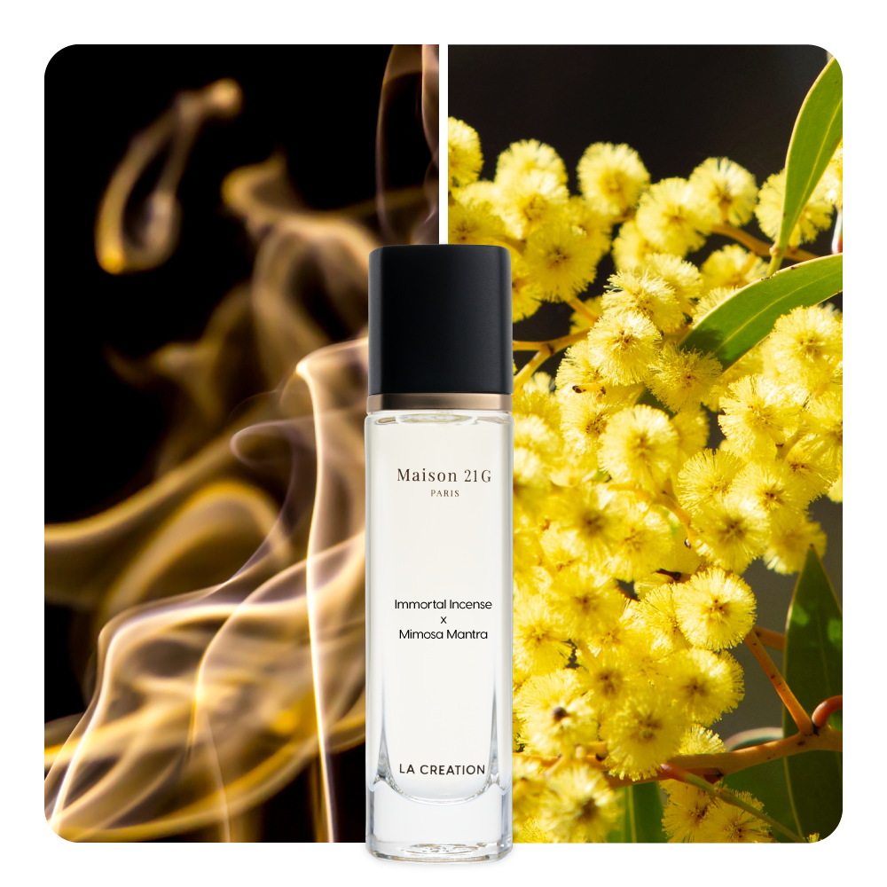 Nước hoa Immortal Incense x Mimosa Mantra