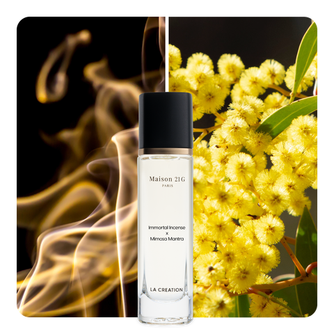 Nước hoa Immortal Incense x Mimosa Mantra