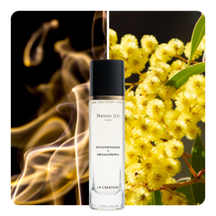 Nước hoa Immortal Incense x Mimosa Mantra
