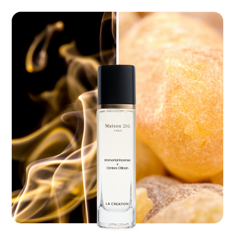 Nước hoa Immortal Incense x Ombre Oliban