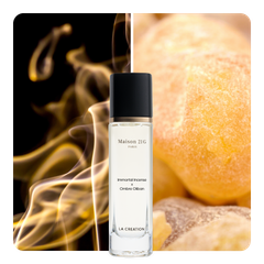 Nước hoa Immortal Incense x Ombre Oliban