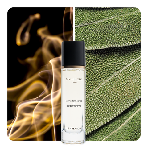 Nước hoa Immortal Incense x Sage Supreme