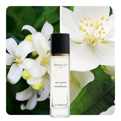 Nước hoa Jazzy Jasmine x Orange Blossom