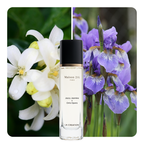Nước hoa Jazzy Jasmine x Orris Opera