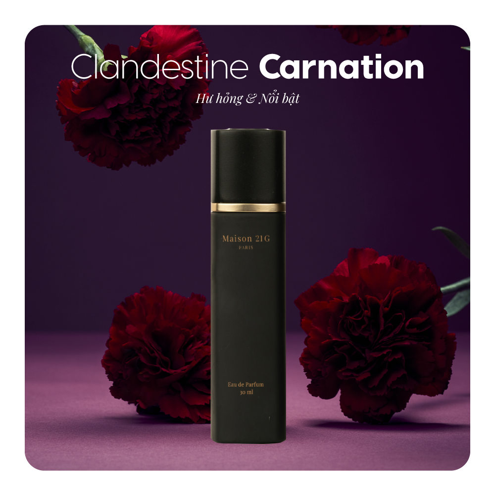 Nước hoa Clandestine Carnation