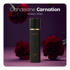 Nước hoa Clandestine Carnation