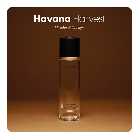 Nước hoa Havana Harvest