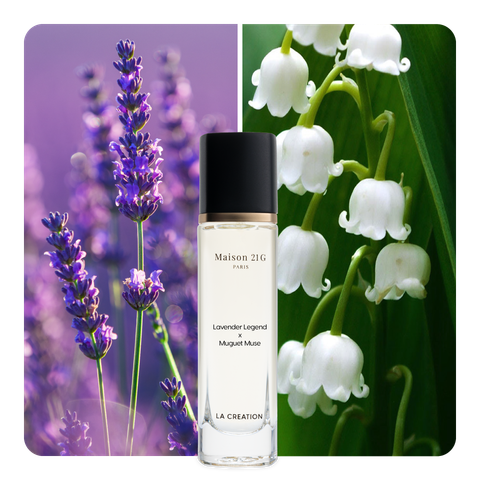 Nước hoa Lavender Legend x Muguet Muse