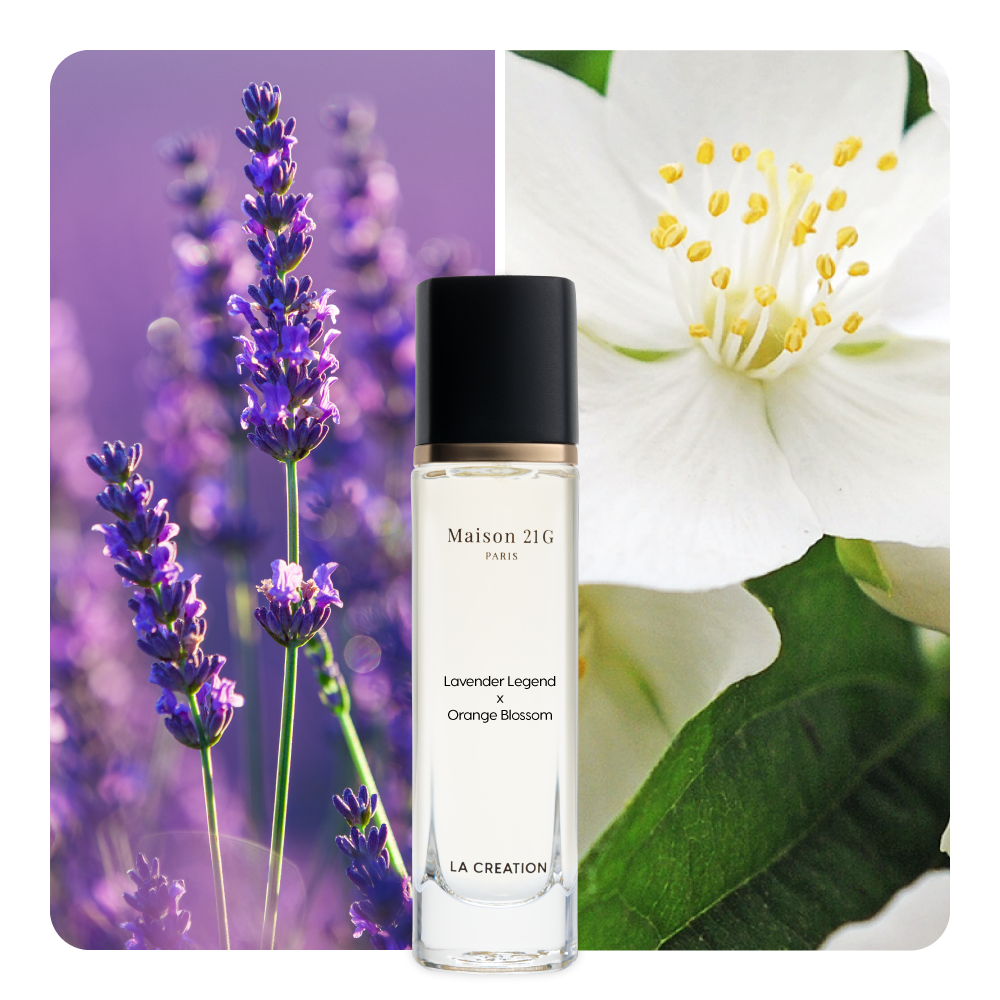 Nước hoa Lavender Legend x Orange Blossom