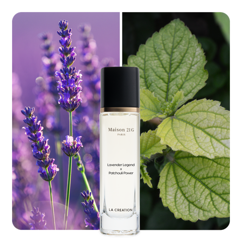 Nước hoa Lavender Legend x Patchouli Power