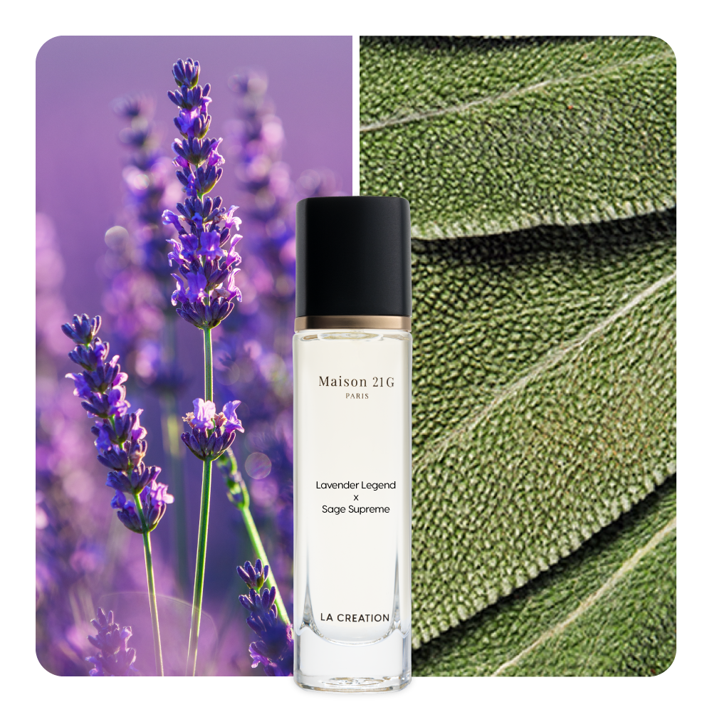 Nước hoa Lavender Legend x Sage Supreme