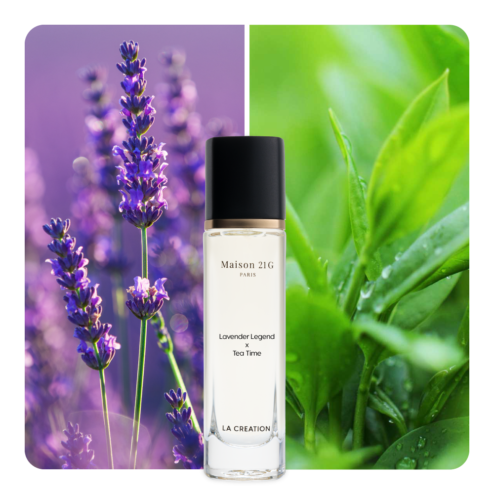 Nước hoa Lavender Legend x Tea Time
