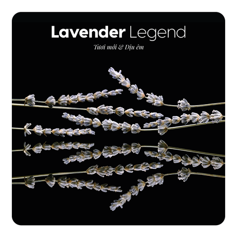 Nước hoa Lavender Legend