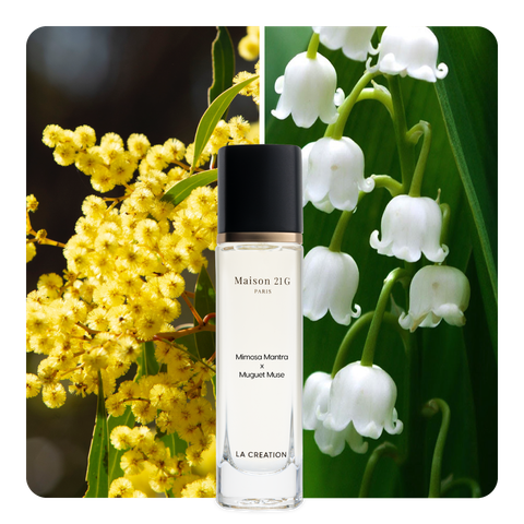 Nước hoa Mimosa Mantra x Muguet Muse
