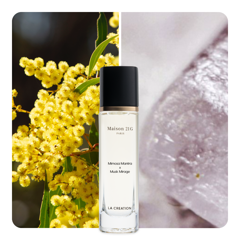Nước hoa Mimosa Mantra x Musk Mirage