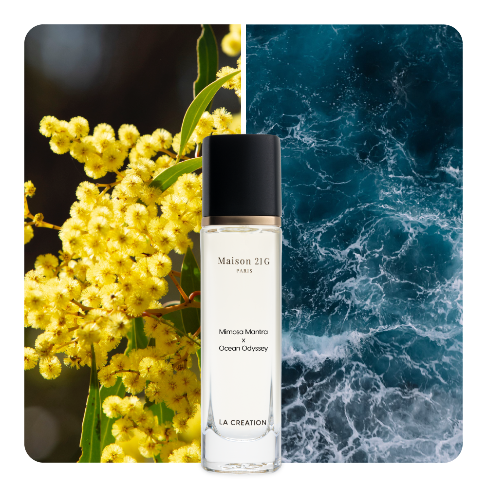 Nước hoa Mimosa Mantra x Ocean Odyssey
